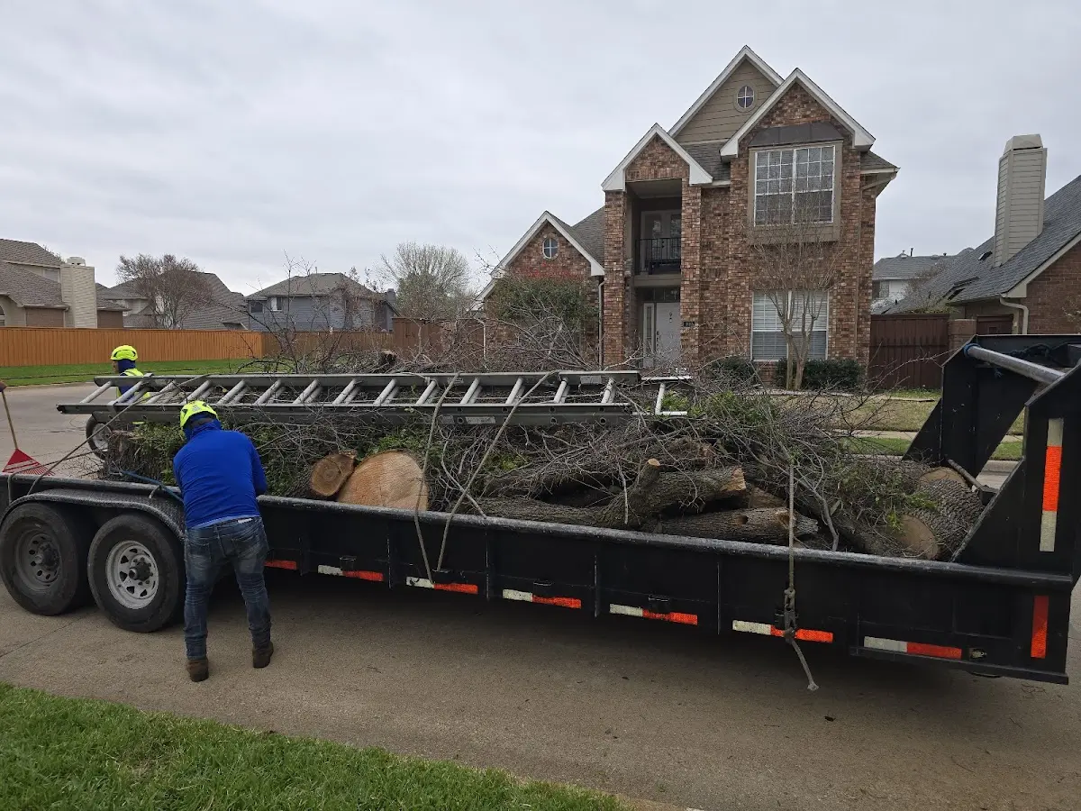 Expert Lot Clearing with proper safety equipment in Cadogan